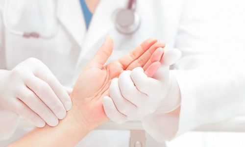 Estão abertas as candidaturas para a primeira edição da Bolsa de Investigação Científica em Osteoporose Estão abertas as candidaturas para a primeira edição da Bolsa de Investigação Científica em Osteoporose