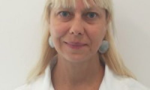 Prof. Ana Paula Barbosa Prof. Ana Paula Barbosa