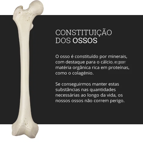 web_ossosfortes-entender-a-formacao-do-esqueleto_v3_03